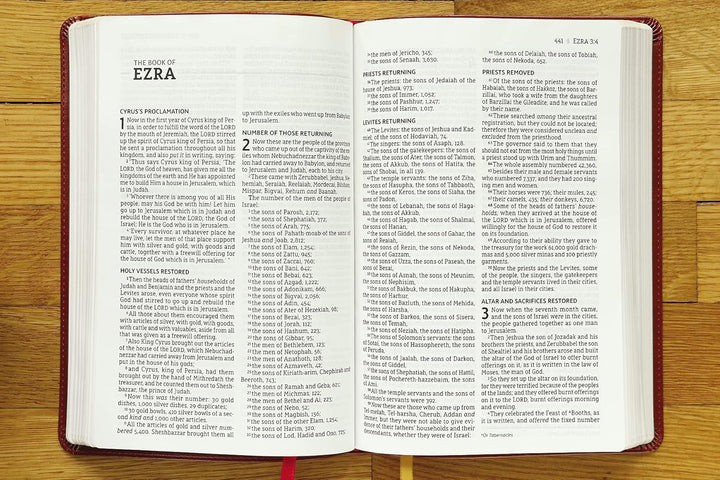 NASB Thinline Bible, Large Print, Borwn, Red Letter Edition - Re-vived