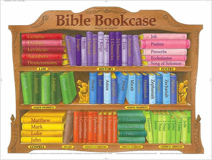 Bible Bookcase Chart (Laminated)  20x26 - Re-vived