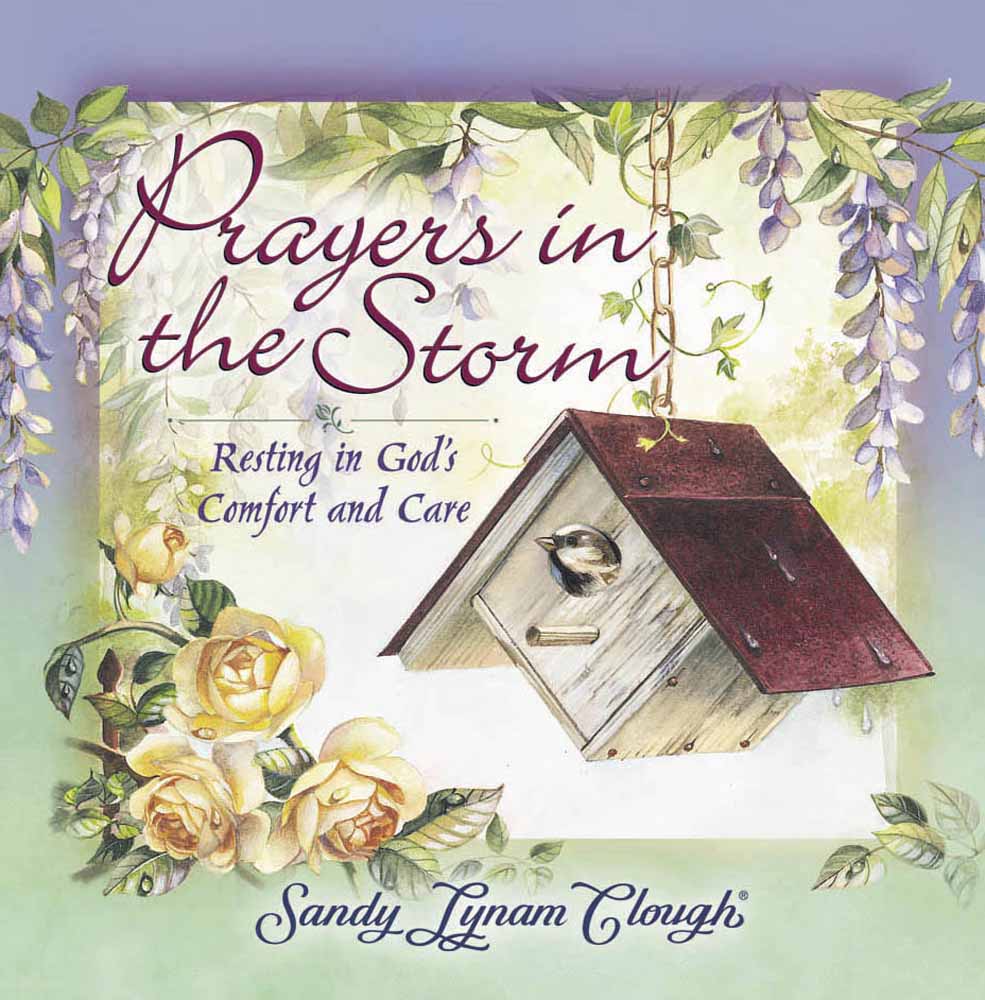 Prayers in the Storm H/b
