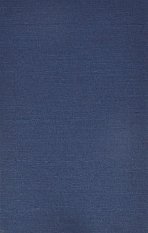 The Minister'S Devotion - Re-vived