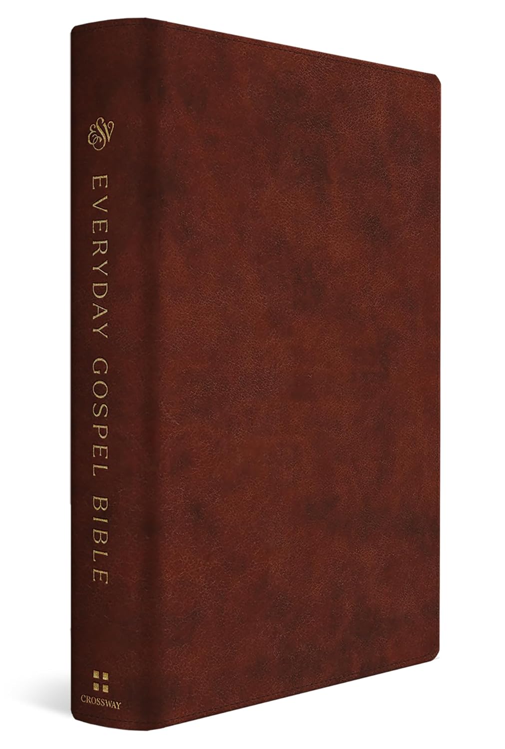 ESV Everyday Gospel Bible - Re-vived