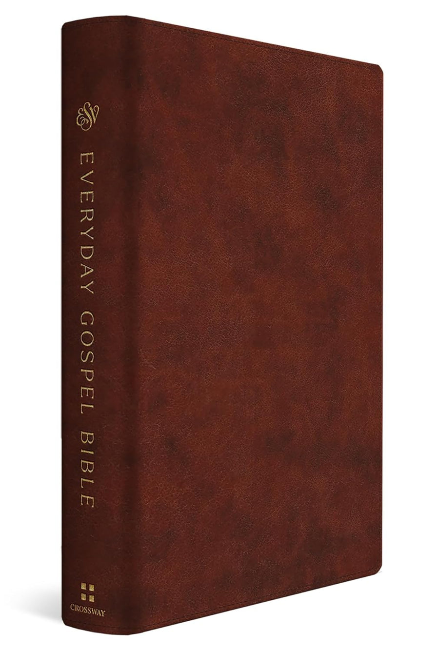 ESV Everyday Gospel Bible - Re-vived