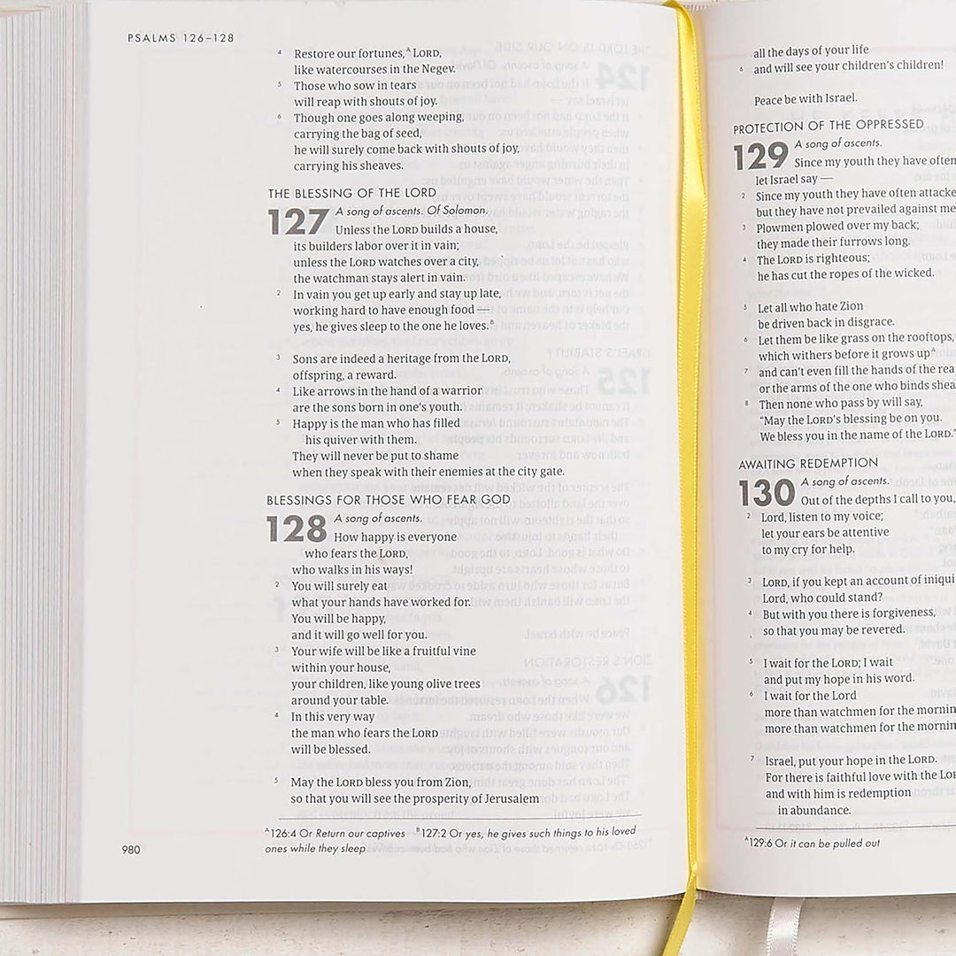 CSB She Reads Truth Bible Hardcover