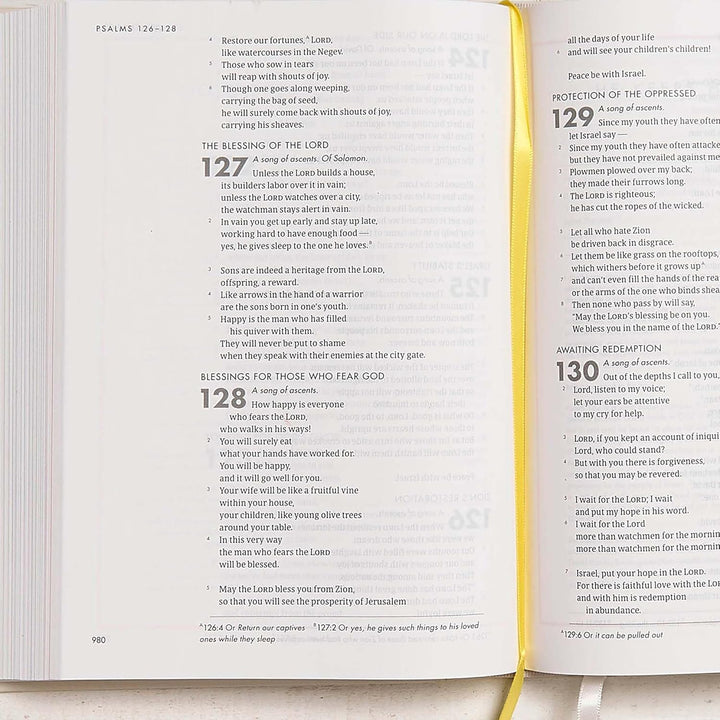 CSB She Reads Truth Bible Hardcover