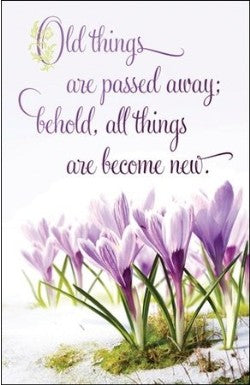All Things Become New Bulletin (Pack of 100) - Re-vived