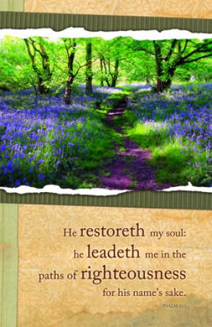 Paths Of Righteousness Bulletin (Pack of 100) - Re-vived