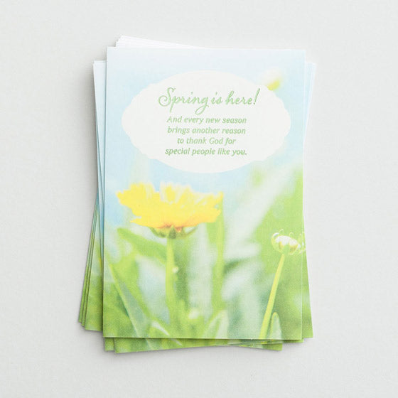 Easter Cards: Spring Is Here (Pack of 6)