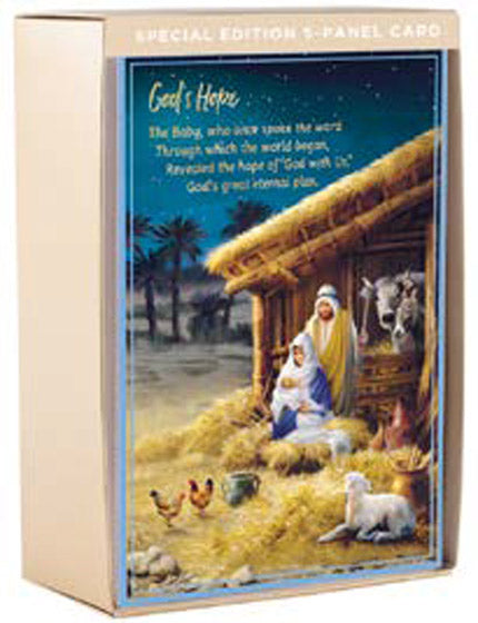 Christmas Story Boxed Cards (Box of 18) - Re-vived
