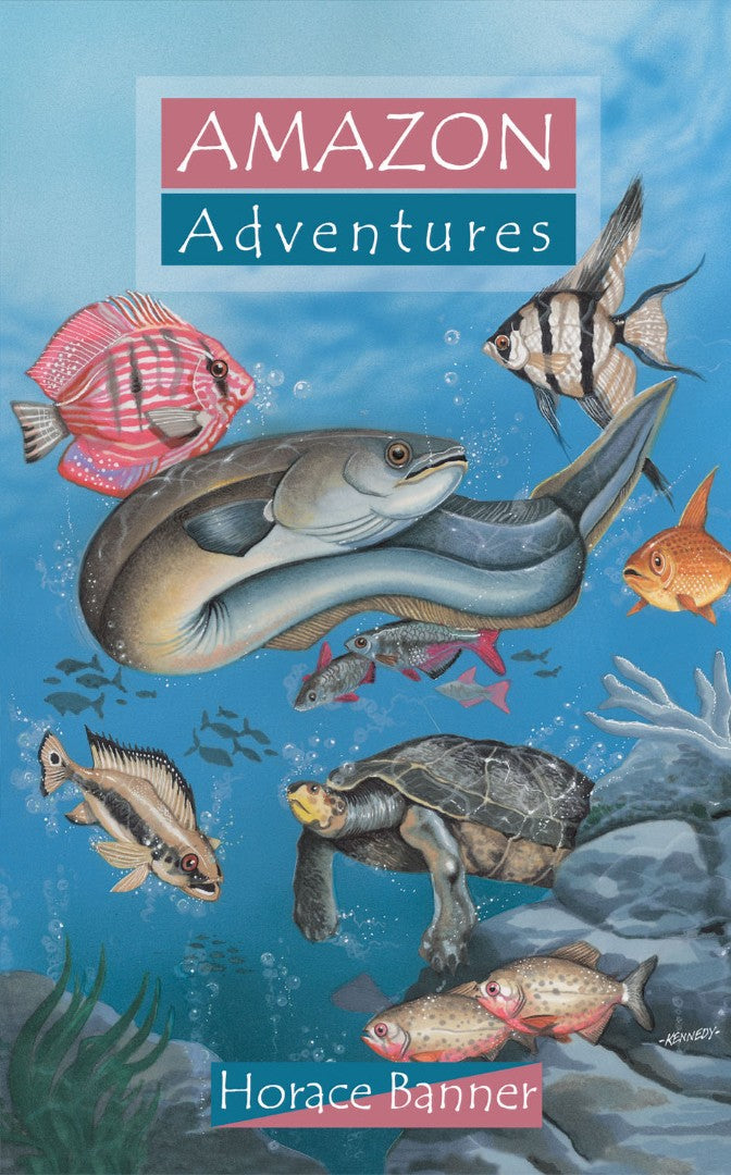 Amazon Adventures - Re-vived