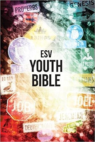 ESV Anglicised Youth Bible - Re-vived
