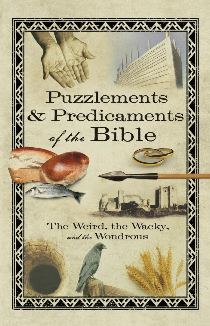 Puzzlements & Predicaments of the Bible - Re-vived
