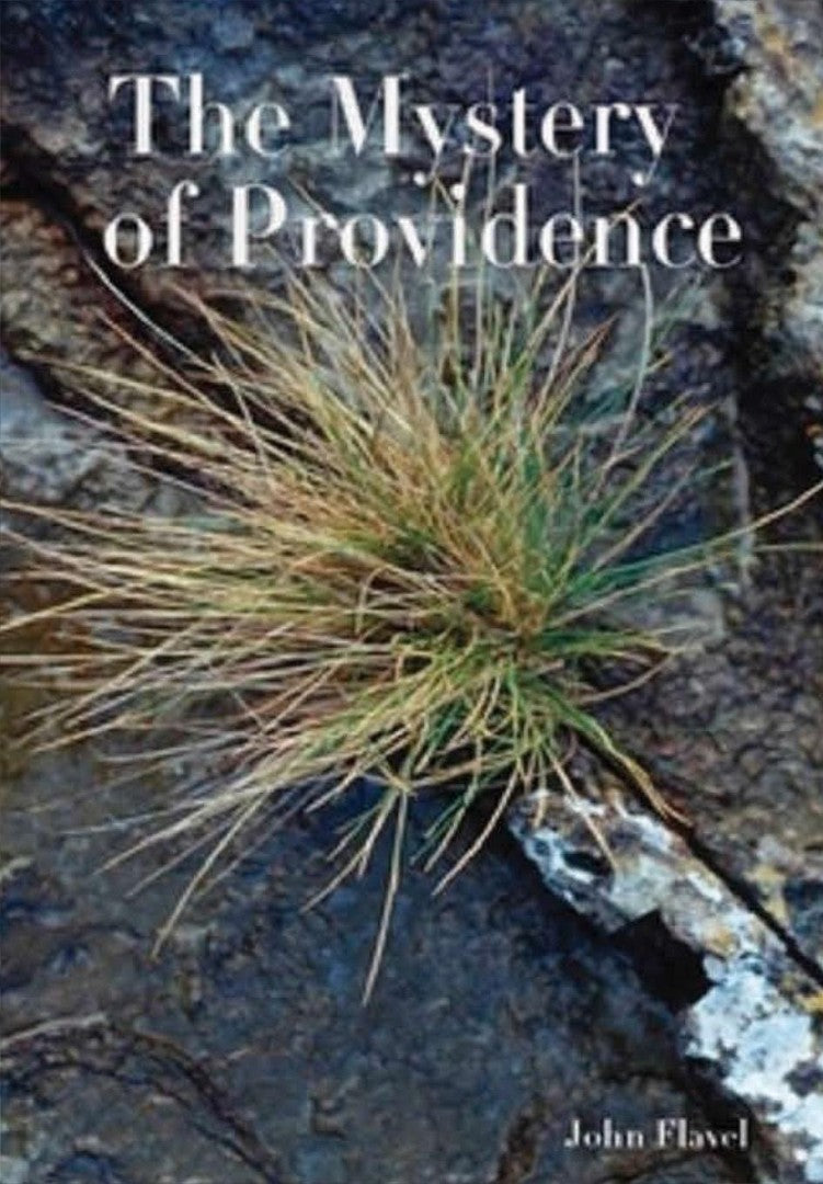 The Mystery of Providence - Re-vived