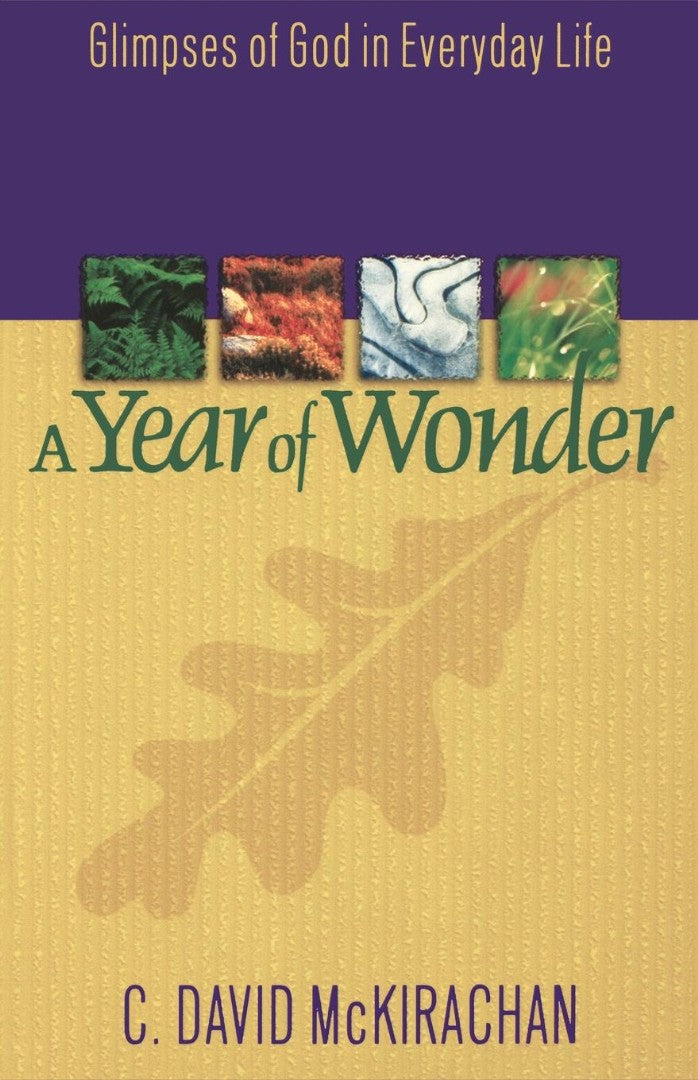 A Year of Wonder - Re-vived