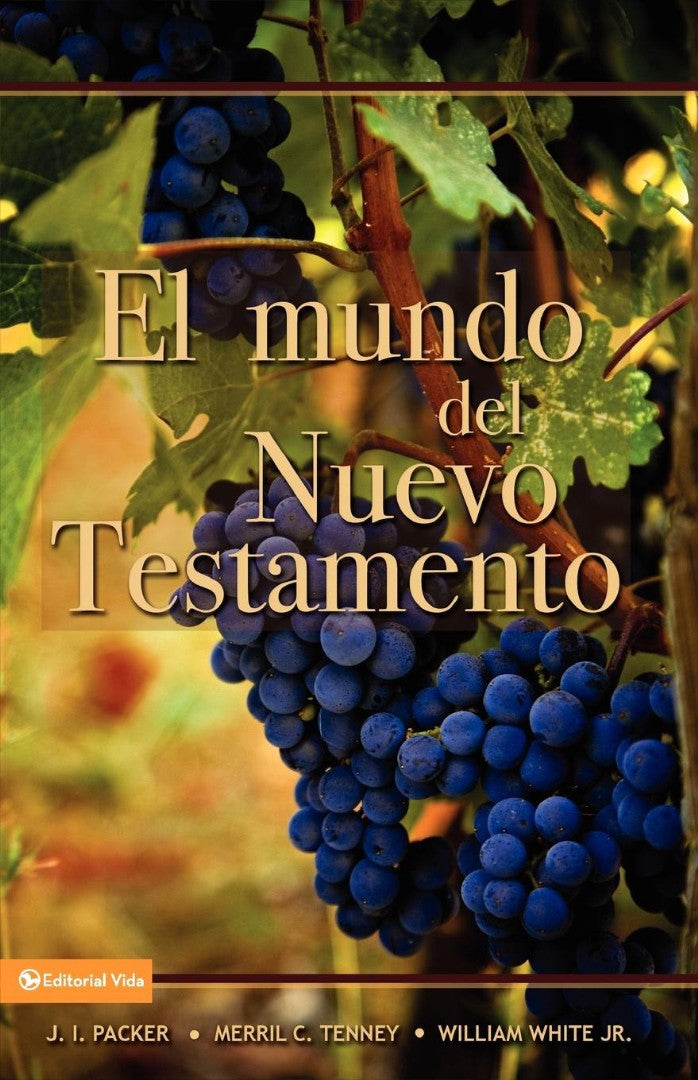 El Mundo del Nuevo Testamento - Re-vived