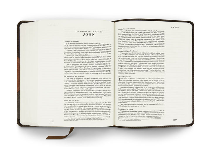 ESV Single Column Journaling Bible, TruTone, Brown/Cordovan - Re-vived