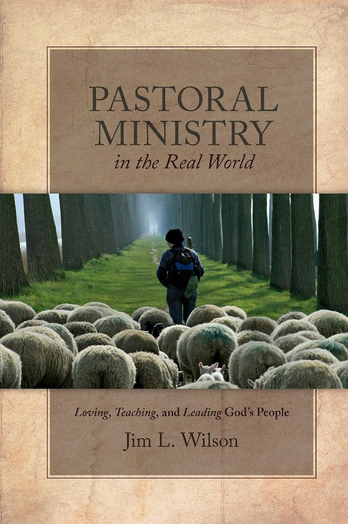 Pastoral Ministry in the Real World - Re-vived