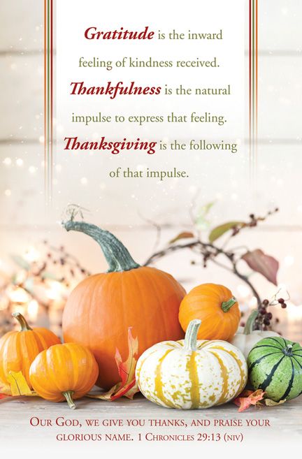 Thanksgiving Bulletin (pack of 100) - Re-vived