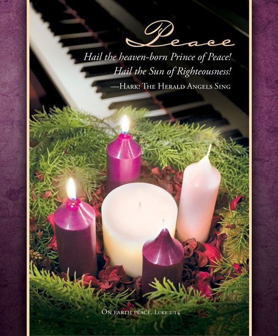 Advent Peace Bulletin Large (Pack of 100) - Re-vived