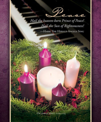 Advent Peace Bulletin Large (Pack of 100) - Re-vived