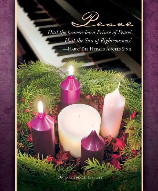 Advent Peace Bulletin Large (Pack of 100)