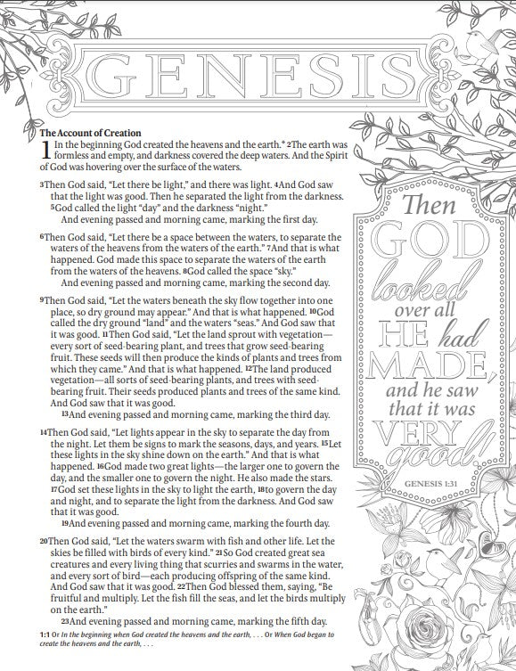 NLT Inspire Bible Large Print, Multicolor LeatherLike