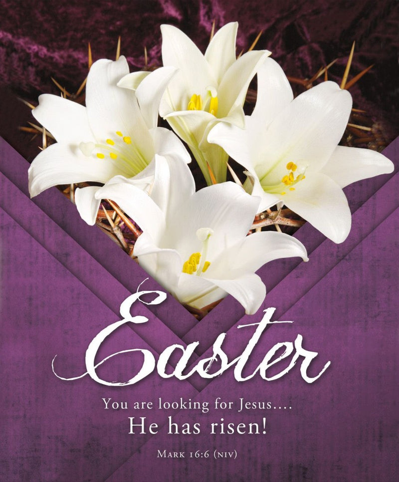 You are Looking for Jesus Easter Bulletin Lgl (pack of 100) - Re-vived