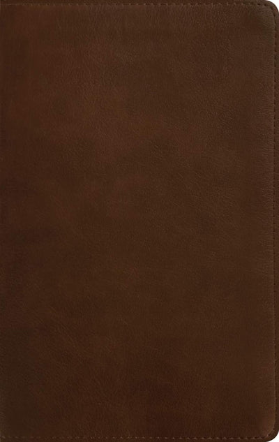 NLT Thinline Reference Bible, Filament Edition, Brown