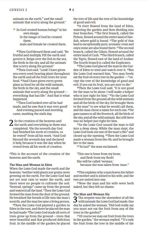 NLT Thinline Reference Bible, Filament Enabled Edition - Re-vived