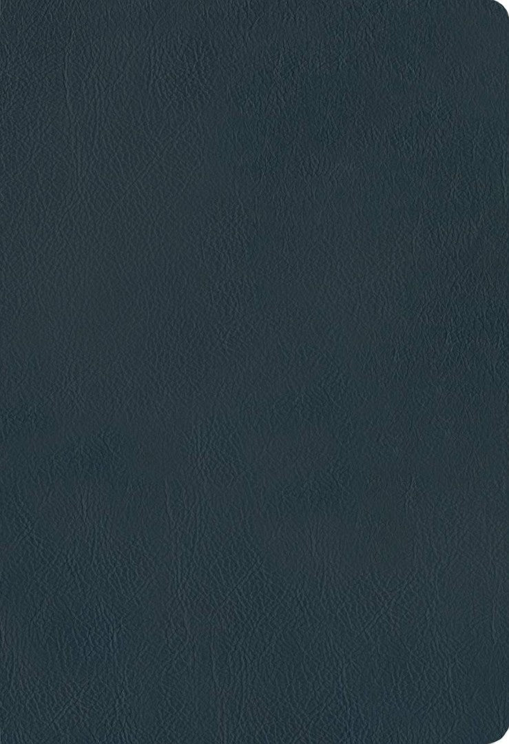 NLT Thinline Reference Bible, Filament Edition, Navy - Re-vived