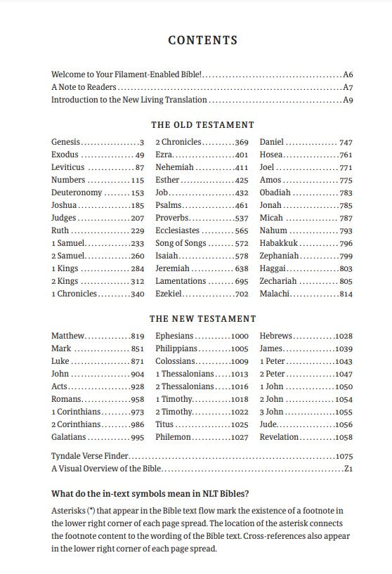 NLT Large Print Thinline Reference Bible, Filament Edition