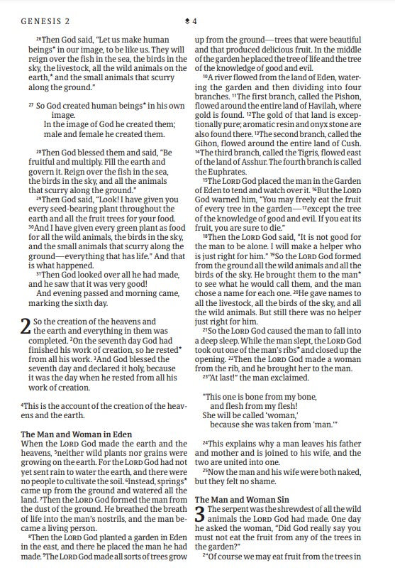 NLT Large Print Thinline Reference Bible, Filament Edition - Re-vived