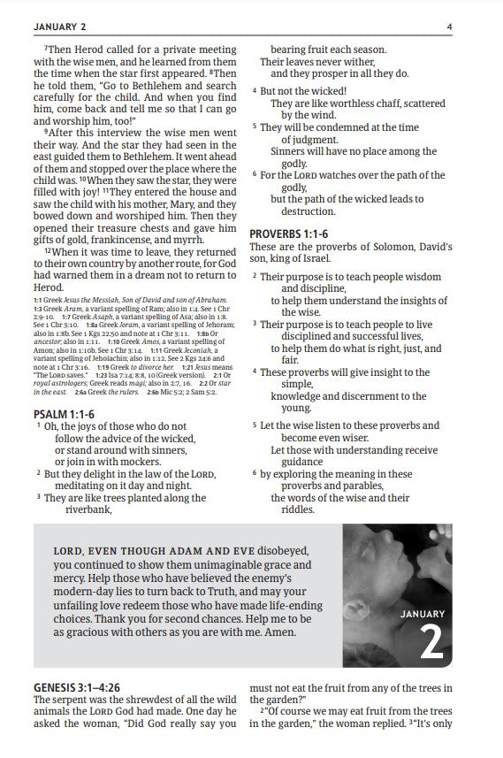 The NLT One Year Pray for Life Bible (Softcover) - Re-vived