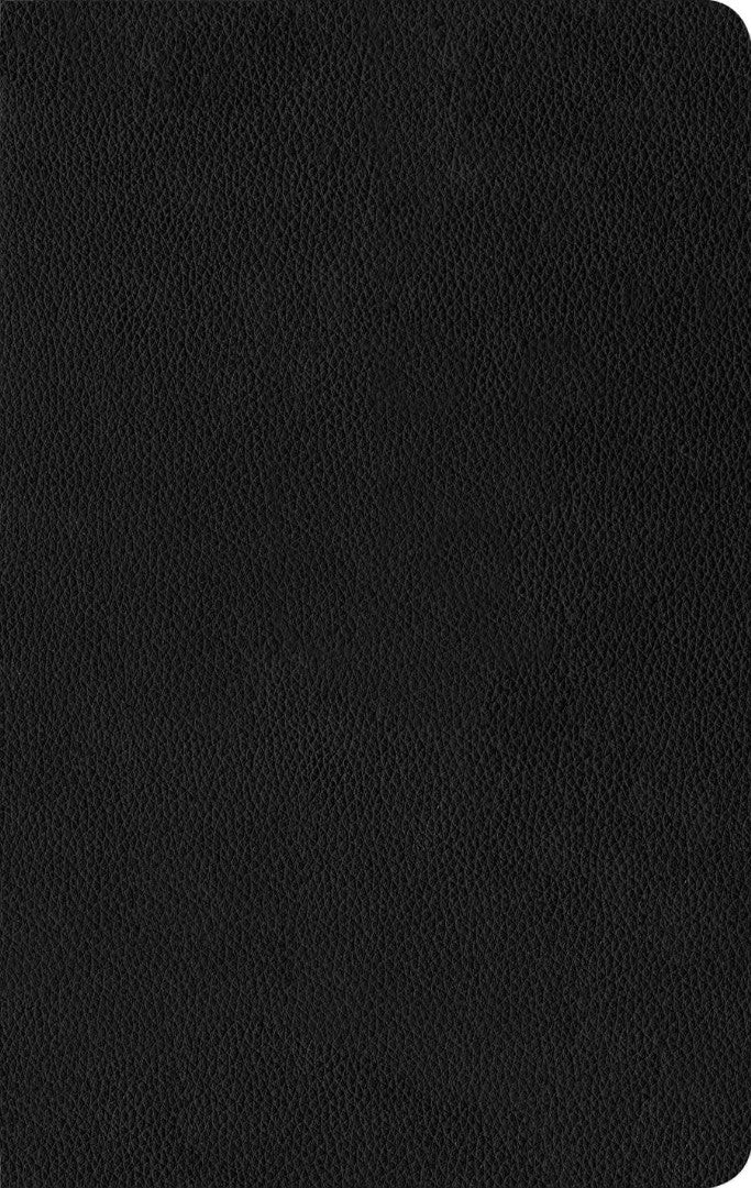 NLT Thinline Reference Bible, Filament Edition, Black - Re-vived