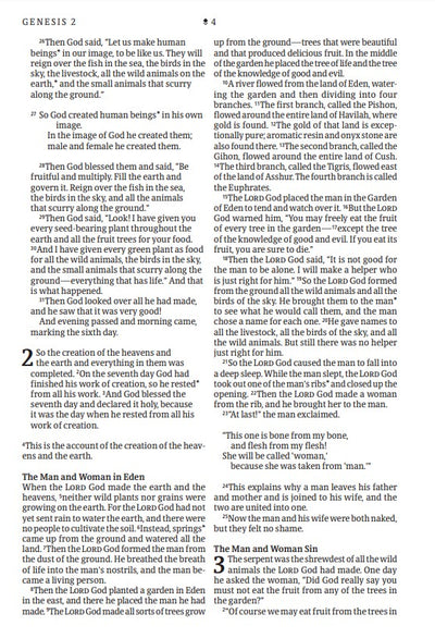 NLT Large Print Thinline Reference Bible, Filament Edition