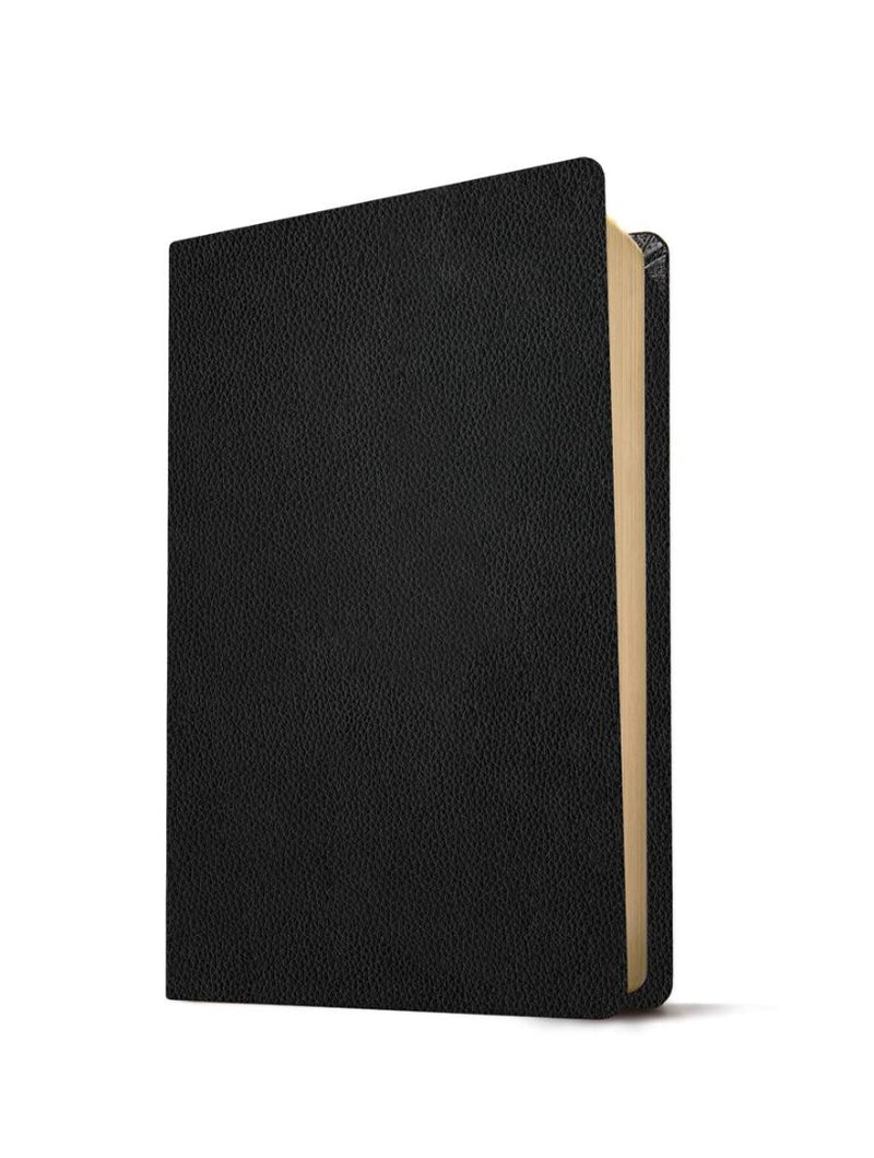 NLT Large Print Thinline Reference Bible, Filament Edition