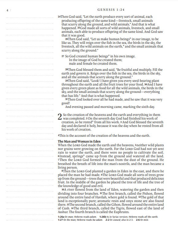 NLT Inspire Catholic Bible Large Print, Pink Fields - Re-vived