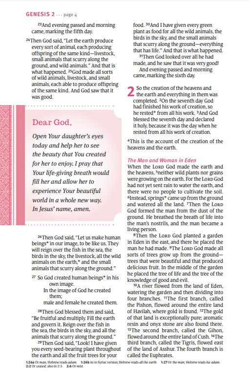 NLT THRIVE Devotional Bible for Women (Hardcover) - Re-vived