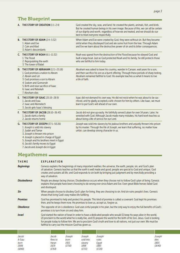 NLT Life Application Study Bible, Third Edition, Teal - Re-vived