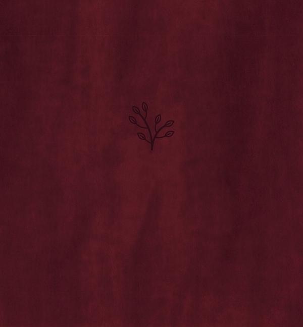 Amplified Holy Bible, XL Edition, Leathersoft, Burgundy - Re-vived
