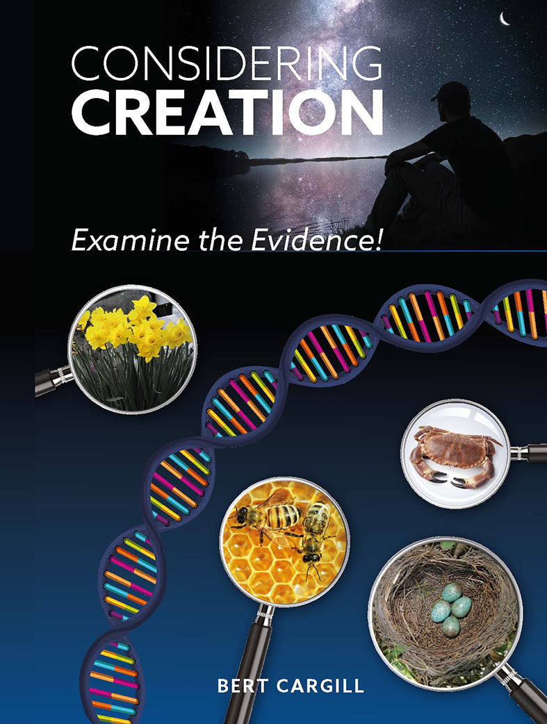 Considering Creation - Re-vived
