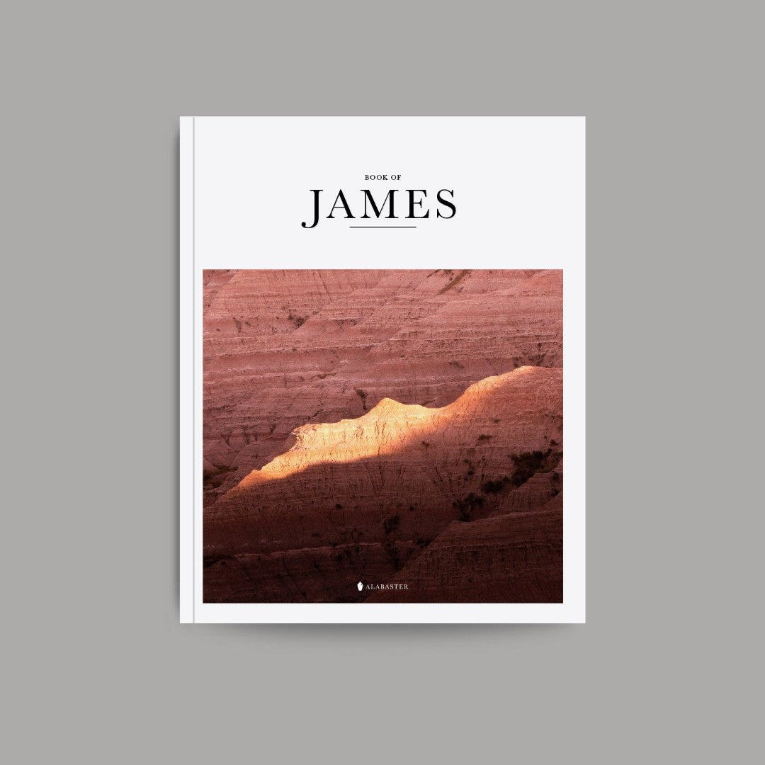 James (Hardcover) - Re-vived