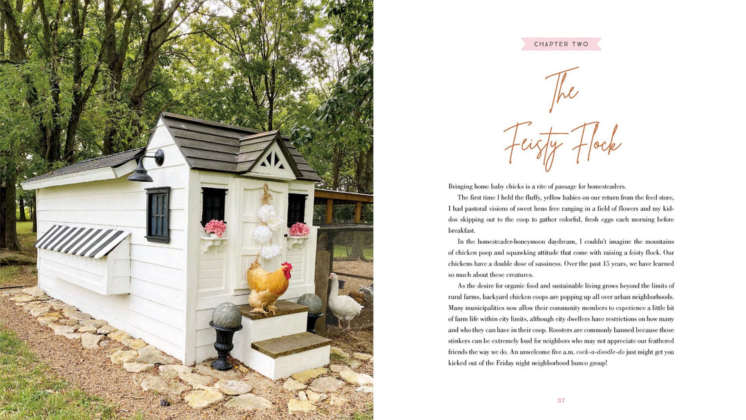 The Grace-Filled Homestead - Re-vived
