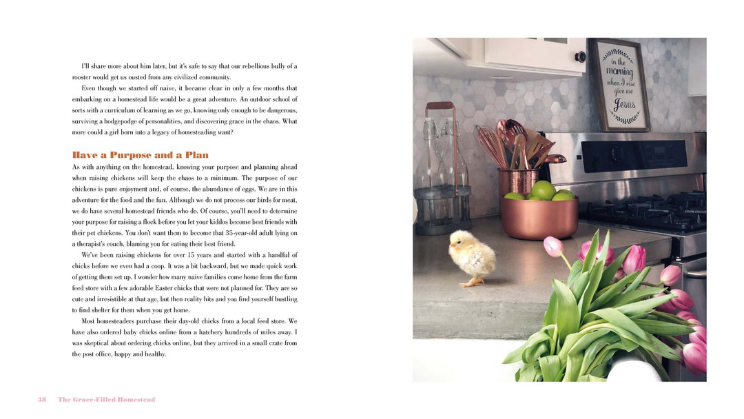 The Grace-Filled Homestead - Re-vived