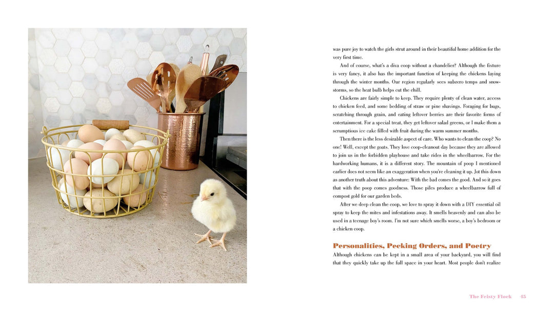 The Grace-Filled Homestead - Re-vived