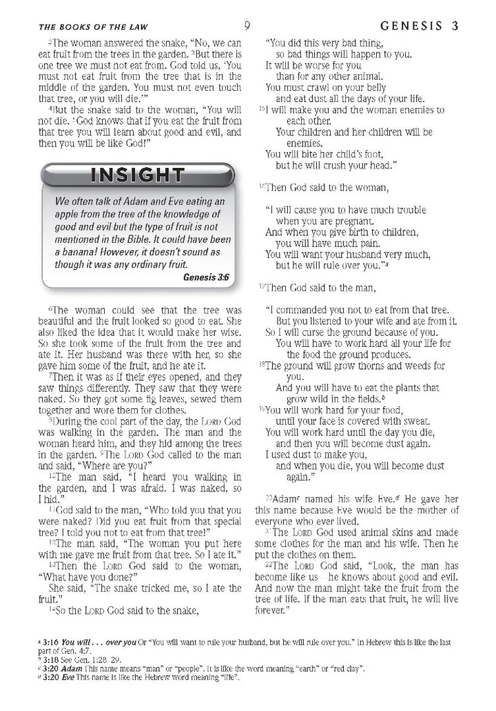 ERV Holy Bible, Teal, Anglicized - Re-vived