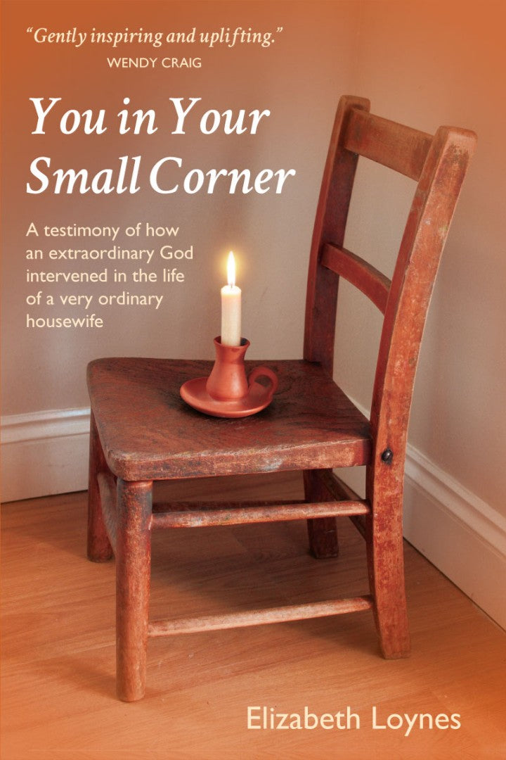 You in Your Small Corner - Re-vived