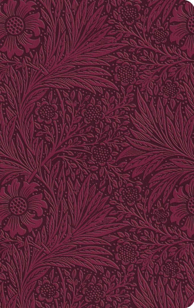 ESV Large Print Value Thinline Bible, TruTone, Raspberry - Re-vived