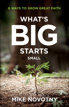 What's Big Starts Small - Re-vived