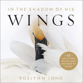 In the Shadow of His Wings - Re-vived