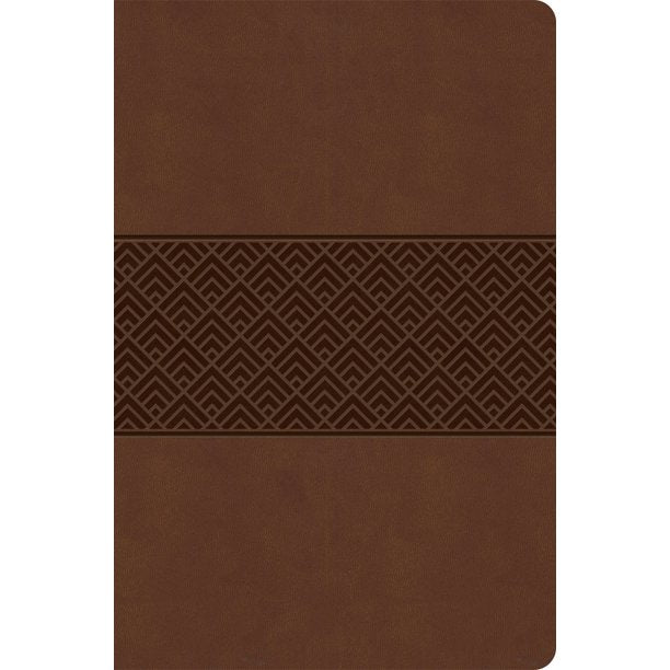 CSB Everyday Study Bible, Brown Burnished, Global